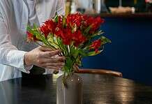 Your Purpose is Your Profit: When Heart and Hustle Align Your purpose is your profit