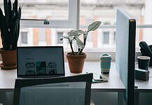 Spring Awakening: Renewing Your Business Vision with Fresh Energy